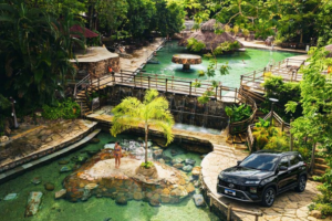 MyD Delivery Product Image