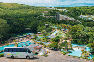 MyD Delivery Product Image