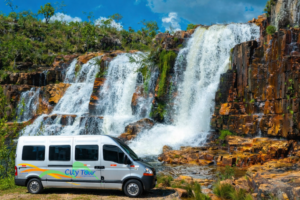 MyD Delivery Product Image