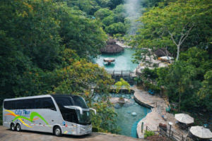 MyD Delivery Product Image